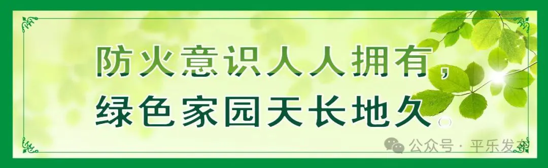 如何设计一份适合初学者的篮球爆发力训练方案?_2